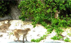 ivivu-vinh-nha-phu-1.gif