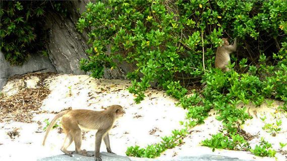 ivivu-vinh-nha-phu-1.gif
