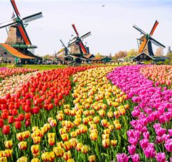 Tour Châu Âu 5 Nước 10N9Đ: Đức - Luxembourg - Hà Lan - Bỉ - Pháp