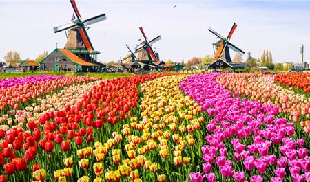 Tour Châu Âu 5 Nước 10N9Đ: Đức - Luxembourg - Hà Lan - Bỉ - Pháp