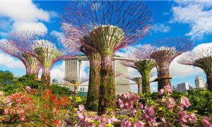 Gardens By The Bay.