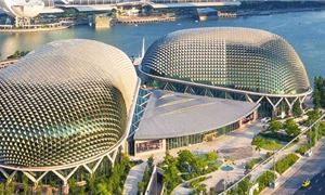 ivivu-nha-hat-trai-sau-rieng-singapore.gif