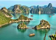 Tour Du Thuyền Hạ Long 6 Tiếng: Du Thuyền Cao Cấp  Alova Premium Cruises