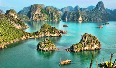 Tour Du Thuyền Hạ Long 6 Tiếng: Du Thuyền Cao Cấp  Alova Premium Cruises