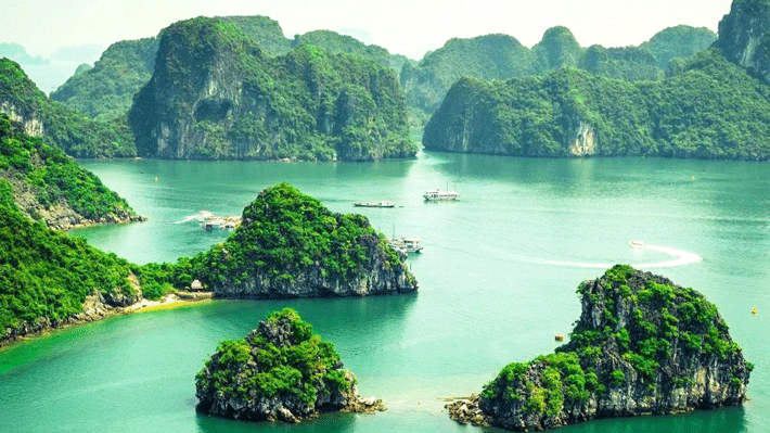Quảng Bình Trong Ngày (Đón Từ Huế): Vẻ Đẹp Kỳ Bí Động Phong Nha
