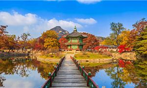 ivivu-gyeongbokgung-cung-dien.gif