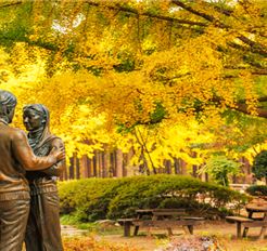 Tour Hàn Quốc 5N5Đ: HCM - Busan - Daegu - Seoul - Đảo Nami