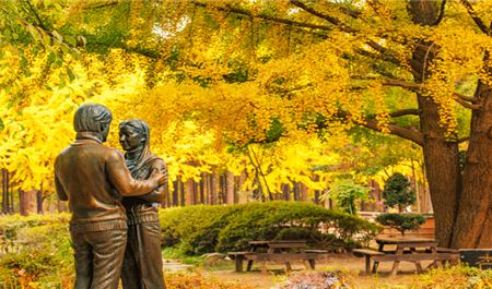 Tour Hàn Quốc 5N5Đ: HCM - Busan - Daegu - Seoul - Đảo Nami