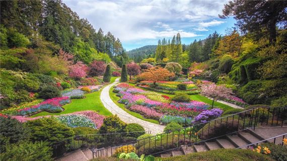 Butchart Garden.