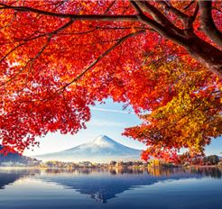 Tour Nhật Bản 4N4Đ: Tokyo - Phú Sĩ - Narita