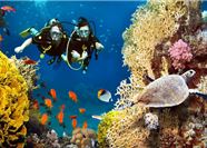 Tour Lặn Biển Nha Trang Trong Ngày: Khám Phá Đại Dương Xanh