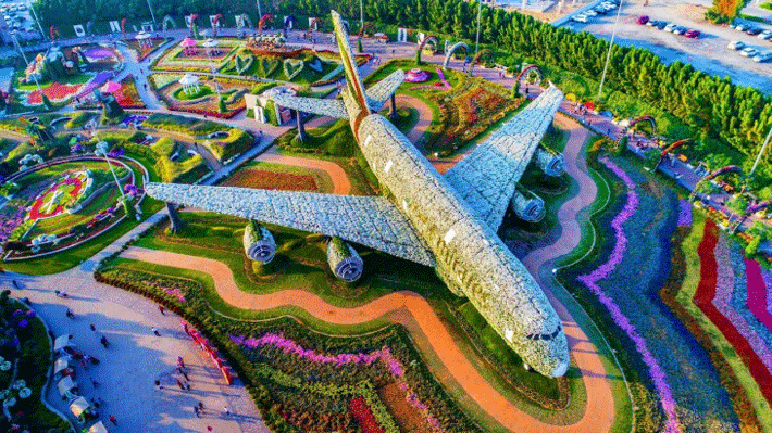 Vườn Hoa Miracle Garden.