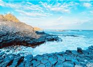 Tour Phú Yên Trong Ngày: Khám Phá Xứ Sở Hoa Vàng Cỏ Xanh