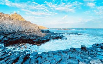 Tour Phú Yên Trong Ngày: Khám Phá Xứ Sở Hoa Vàng Cỏ Xanh