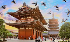 Lâu Đài Osaka