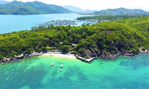 ivivu-bai-tranh.gif