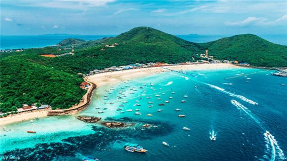 Đảo San Hô (Coral).