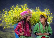 Tour Miền Bắc 5N4Đ: HCM - Hà Giang - Sapa - Fansipan