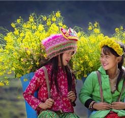 Tour Miền Bắc 5N4Đ: HCM - Hà Giang - Sapa - Fansipan