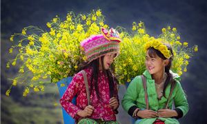 ivivu-ha-giang-3.gif