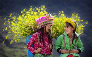 Tour Miền Bắc 5N4Đ: HCM - Hà Giang - Sapa - Fansipan