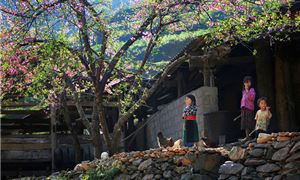 ivivu-ha-giang-6.gif
