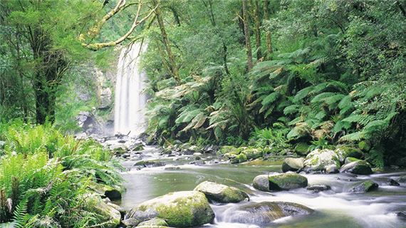 Công viên Quốc Gia Dandenong