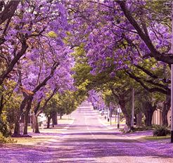 Tour Úc 7N6Đ: Hà Nội - Sydney - Canberra - Melbourne - Vịnh Watsons