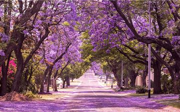 Tour Úc 7N6Đ: Hà Nội - Sydney - Canberra - Melbourne - Vịnh Watsons