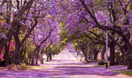 Tour Úc 7N6Đ: Hà Nội - Sydney - Canberra - Melbourne - Vịnh Watsons