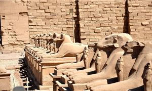 ivivu-bo-tay-luxor.gif
