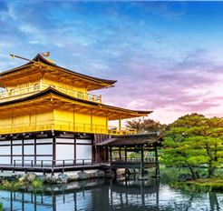 Tour Nhật Bản 5N5Đ: Nara - Osaka - Kyoto - Phú Sĩ - Tokyo