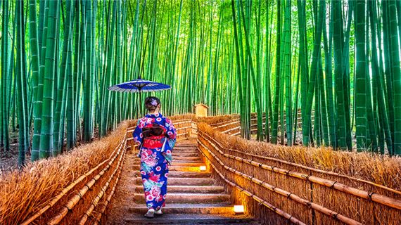 Rừng trúc Arashiyama