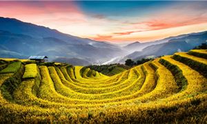 Đồi Móng Ngựa