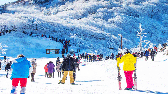 Tour Hàn Quốc 5N4Đ: Mùa Đông Seoul - Trượt Tuyết Elysian - Lotte World