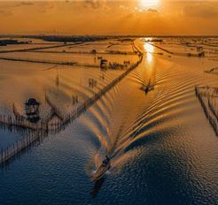 Tour Huế Nửa Ngày: Chiều Trên Phá Tam Giang - Rừng Ngập Mặn Rú Chá