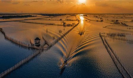 Tour Huế Nửa Ngày: Chiều Trên Phá Tam Giang - Rừng Ngập Mặn Rú Chá