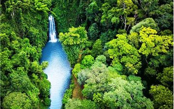 Tour Limousine Tây Nguyên 3N3Đ: HCM - Măng Đen - Kom Tum - Gia Lai - Buôn Mê Thuột - Tà Đùng