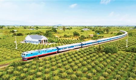 Tour Xe Lửa Miền Trung 3N4Đ: Kỳ Co - Eo Gió - Gành Đá Đĩa - Mũi Điện - Tháp Nhạn