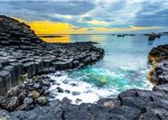 Tour Phú Yên 3N3Đ: HCM - Gành Đá Dĩa - Đảo Hòn Nưa - Canary Garden (Xe limousine)