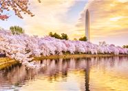 Tour Bờ Đông - Tây Hoa Kỳ 11N10Đ: HCM - Trải Nghiệm Nét Đẹp Hai Bờ Nước Mỹ