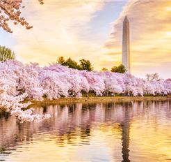 Tour Bờ Đông - Tây Hoa Kỳ 11N10Đ: HCM - Trải Nghiệm Nét Đẹp Hai Bờ Nước Mỹ