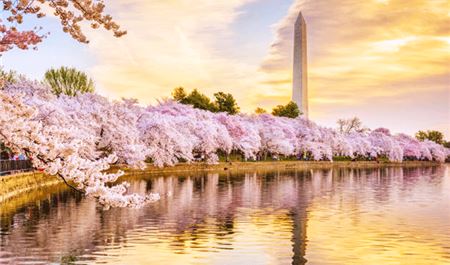 Tour Bờ Đông - Tây Hoa Kỳ 11N10Đ: HCM - Trải Nghiệm Nét Đẹp Hai Bờ Nước Mỹ