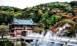 ivivu-chua-katsuoji-1.gif