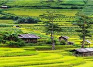 Tour Tây Bắc 5N4Đ: HCM - Sapa - Điện Biên - Mộc Châu - Hòa Bình