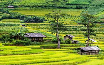 Tour Tây Bắc 5N4Đ: HCM - Sapa - Điện Biên - Mộc Châu - Hòa Bình