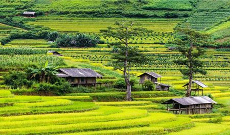 Tour Miền Bắc 5N4Đ: HCM - Sapa - Điện Biên - Mộc Châu - Hòa Bình