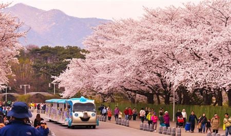 Tour Hàn Quốc 4N4Đ: Seoul - Everland - Nami