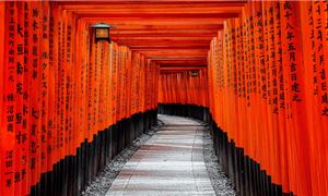 Đền Fushimi Inari Taisha.