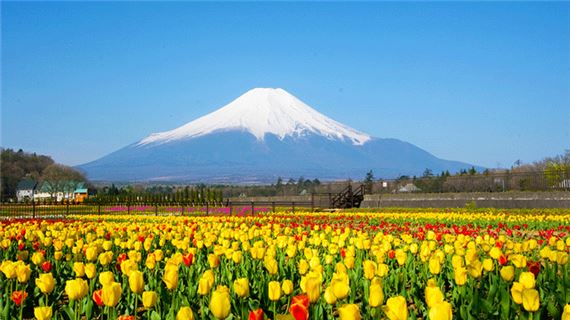 Công viên Hanano Miyako